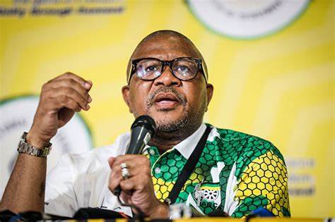 Fikile Mbalula Drops Bombshell on Party Concerns During Stadium Inspection for Birthday Bash