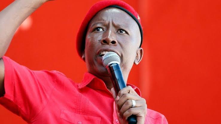 Malema: Zimbabweans Have Taken Over Companies In South Africa